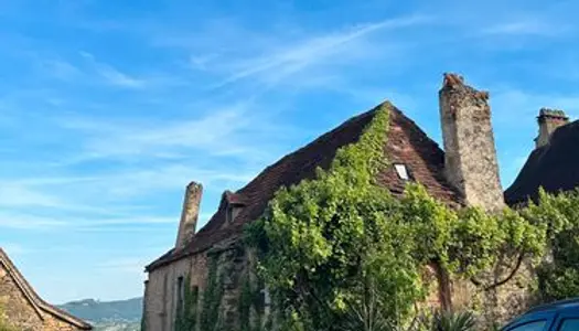 Maison de charme dans le village de Saint_Michel_loubejou 