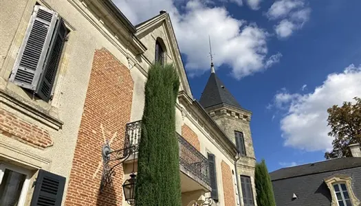 Château du XVIIo avec vignobles, gites & écuries sur 115Hectares 