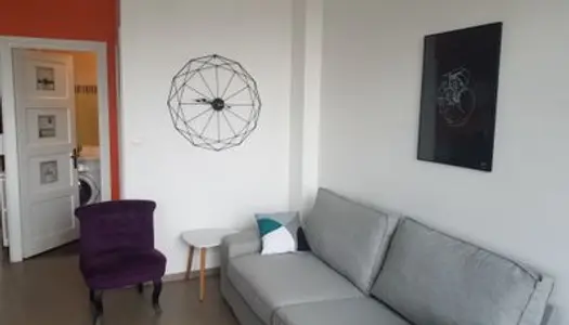 Loue Appartement meublé équipé Croix-Rousse Bail mobilité - Lyon 4ème 