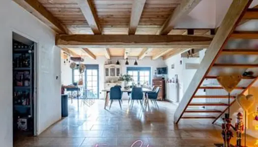 Maison 6 pièces 300 m²