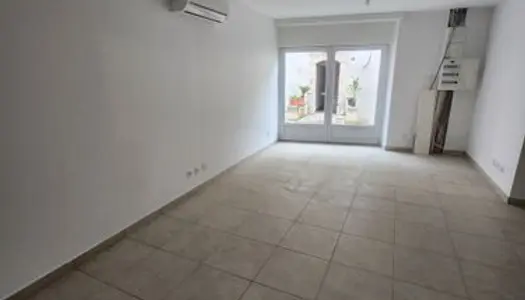 Appartement rénové en RDC + cave de 100 m² 