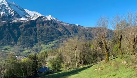 Terrains à vendre Vallée Chamonix 