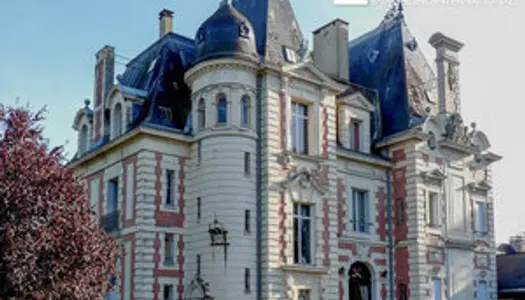 Château 45 pièce(s), LE MANS
