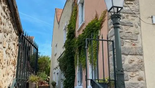 Bien rare : maison ancienne entièrement rénovée, au centre ville, avec jardin et deux places de 