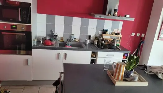 Appartement 1 pièce 44 m² 