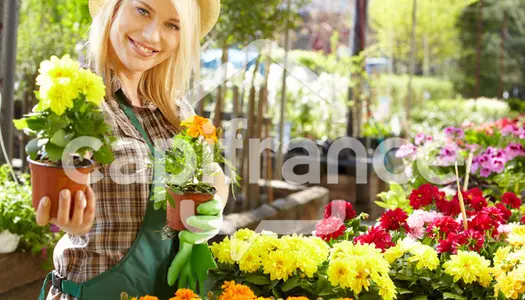 Dpt Hérault (34), à vendre proche de PEZENAS Fleuriste