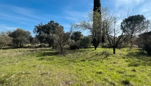 Maison à Cotignac avec beau terrain complanté d'oliviers