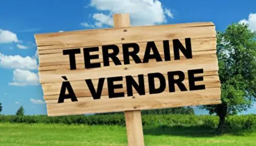 Terrain Vente Saint-Sulpice-de-Royan  5957m² 470000€