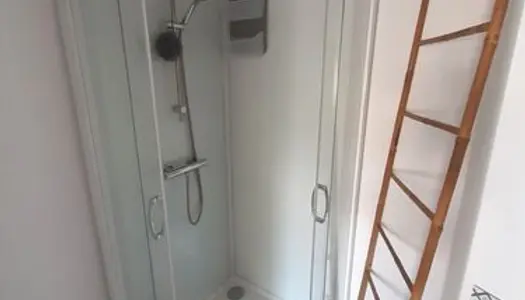 Chambre meublée avec salle de bains privative