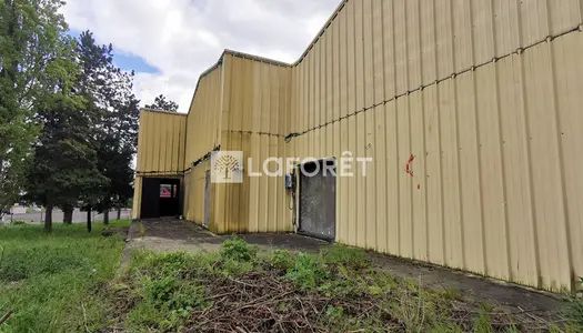 Local commercial 437 m² 