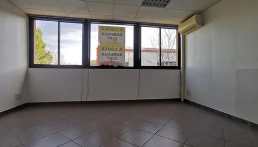 Bureaux Castanet-tolosan 53.13 m2