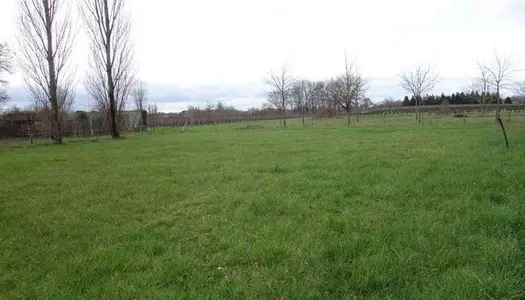 Terrain 1000 m² 