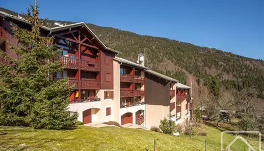 Un appartement T2 avec coin montagne et casier à skis, au pied des pistes de ski
