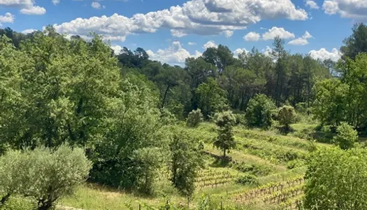 Domaine viticole bio AOP Côtes de Provence, niché à quelques kilomètres de l'un des plus b 