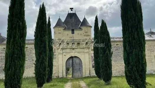 Spendide château du XIV et XVII° beau potentiel pour résidence et chambre d'hôtes