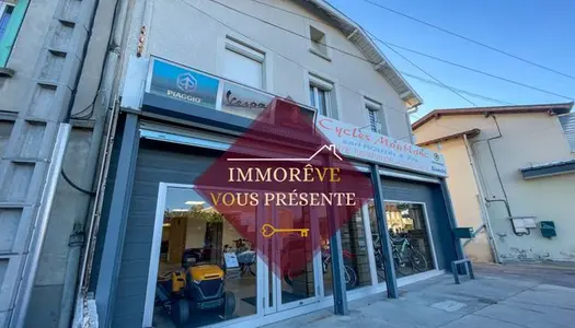 Immeuble Vente Roussillon  530m² 106000€