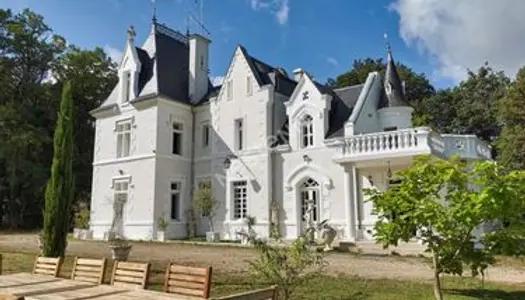 Château 10 pièces 360 m² 