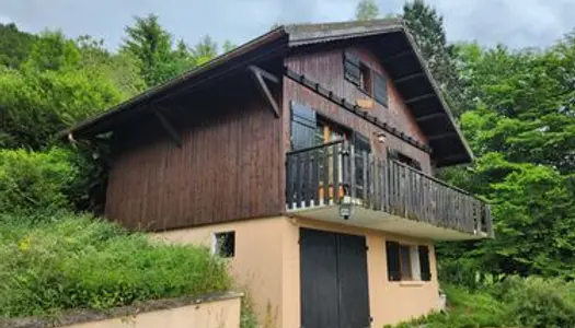 Chalet sur trois niveaux, grand terrain 