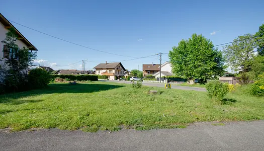 Terrain 537 m² 