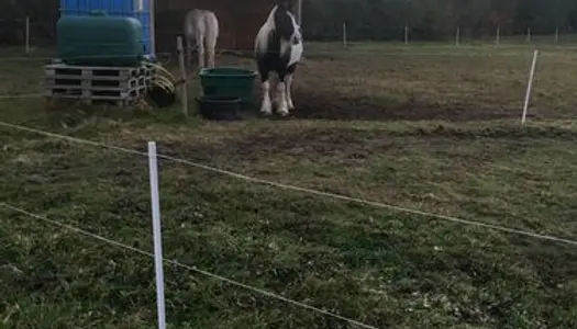 Loue terrain loisir pour cheval 