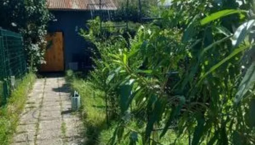 Petite maison de bourg avec jardin.