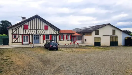 Maison 7 pièces 296 m² 