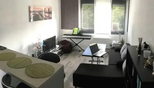 Appartement 2 pièces, 29 m², proche Vélodrome 
