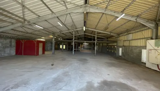 Local commercial 610 m²