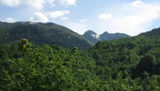 Maison magnifique à rénover 