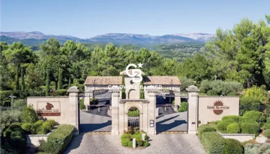Fayence /Tourrettes (83) - Luxueuse villa de 250 m² 