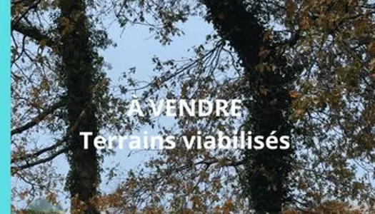 Terrain Vente Saint-Médard-en-Jalles  431m² 246000€
