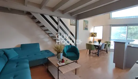 SUPERBE APPARTEMENT 2 CHAMBRES + MEZZANINE 