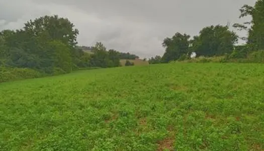 Vends terrain agricole 2 hectares 