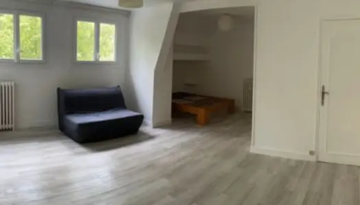 Appartement 38 m² + combles immeuble + cave 