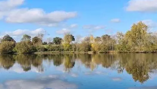 Lac a carpes établi