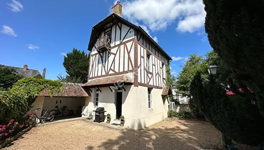 Ancien moulin a Tan a Nogent-sur-Loir (72500)