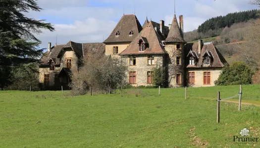 Vente Château 1500 m² à Poil 1 250 000 €