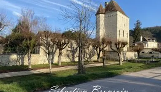À Vendre : Donjon du XIIIe siècle, Classé Monument Historique, à Cravant, Yonne