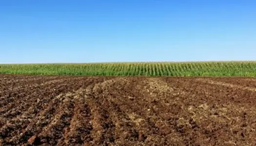 Terre agricole irrigable 