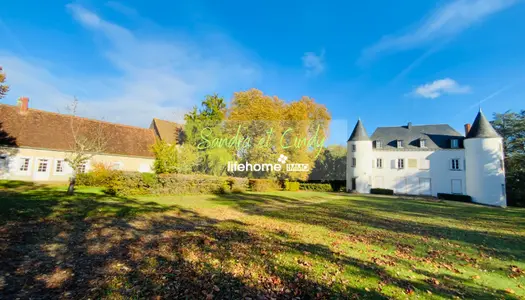 Vente Château 400 m² à Villedieu-sur-Indre 820 000 €