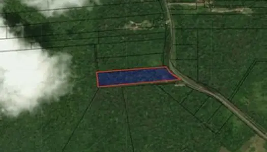 DPT GUYANE (973), À vendre MONTSINERY-TONNEGRANDE terrain agricole de 51 041 m²