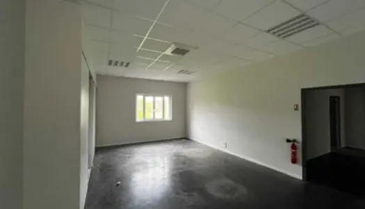 Local commercial 319 m² 