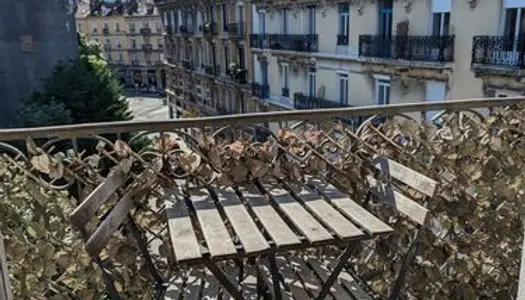 Location appartement T2 à Grenoble - 39m2 avec petits balcons 