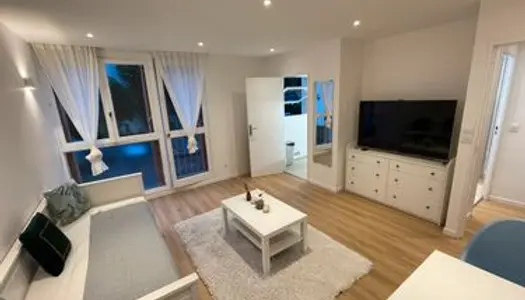 Grand Studio 28m2 Paris 19e refait à neuf 