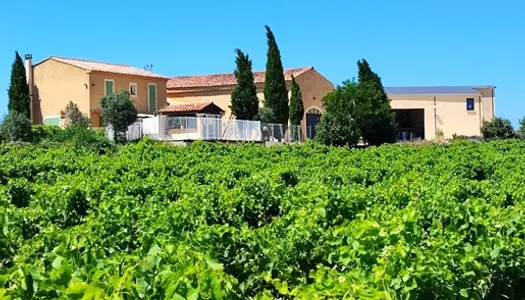 Cave particulière moderne et Domaine viticole familial en zone