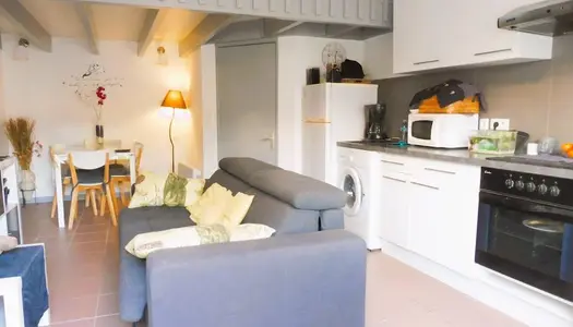 Maison 1 pièce 24 m²