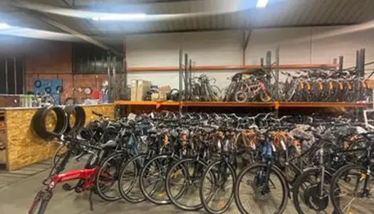 Commerce de vélos et parc de location