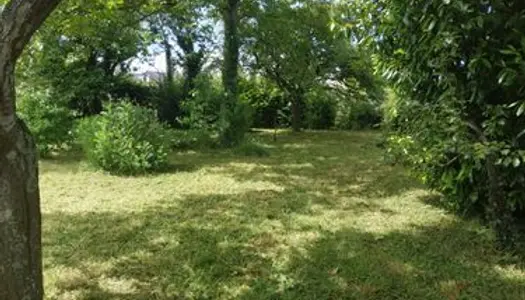 Vend jardin arboré pour potager ou agrément 