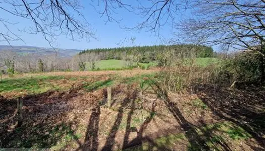 TARN (81) à vendre à VABRE corps de ferme avec gra