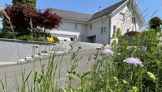 Vente Villa 310 m² à Kappelen 1 221 000 €